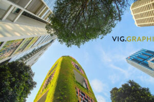 Building a Greener Packaging Industry with VIG Graphics’ Next-Gen Corrugation Machine